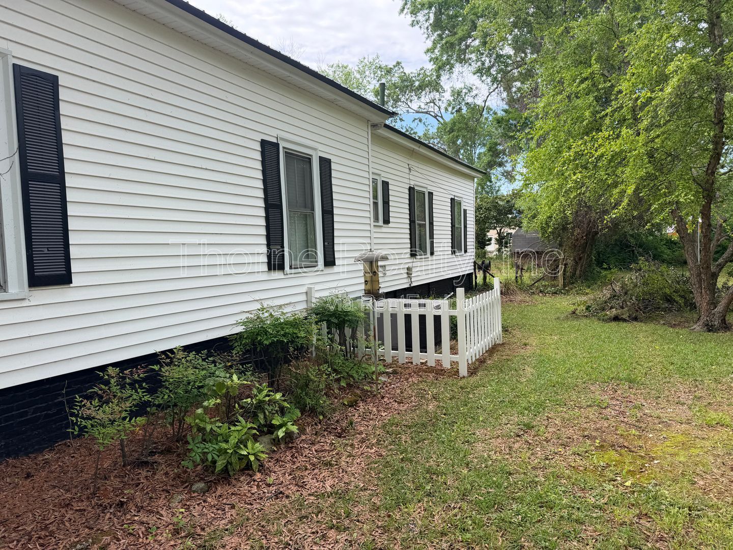 3 Bedroom Home - Soaring Ceilings, Hardwood floors, Renovated ktchen and baths! property image