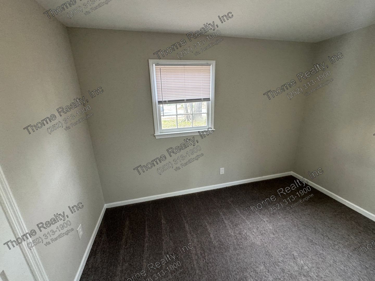 Remodeled 3 Bedroom House in East Tarboro property image